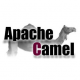 Cursos de Apache Camel en Ecuador