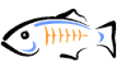 Cursos de GlassFish en Ecuador