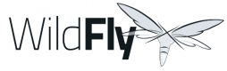 Cursos de Wildfly en Ecuador